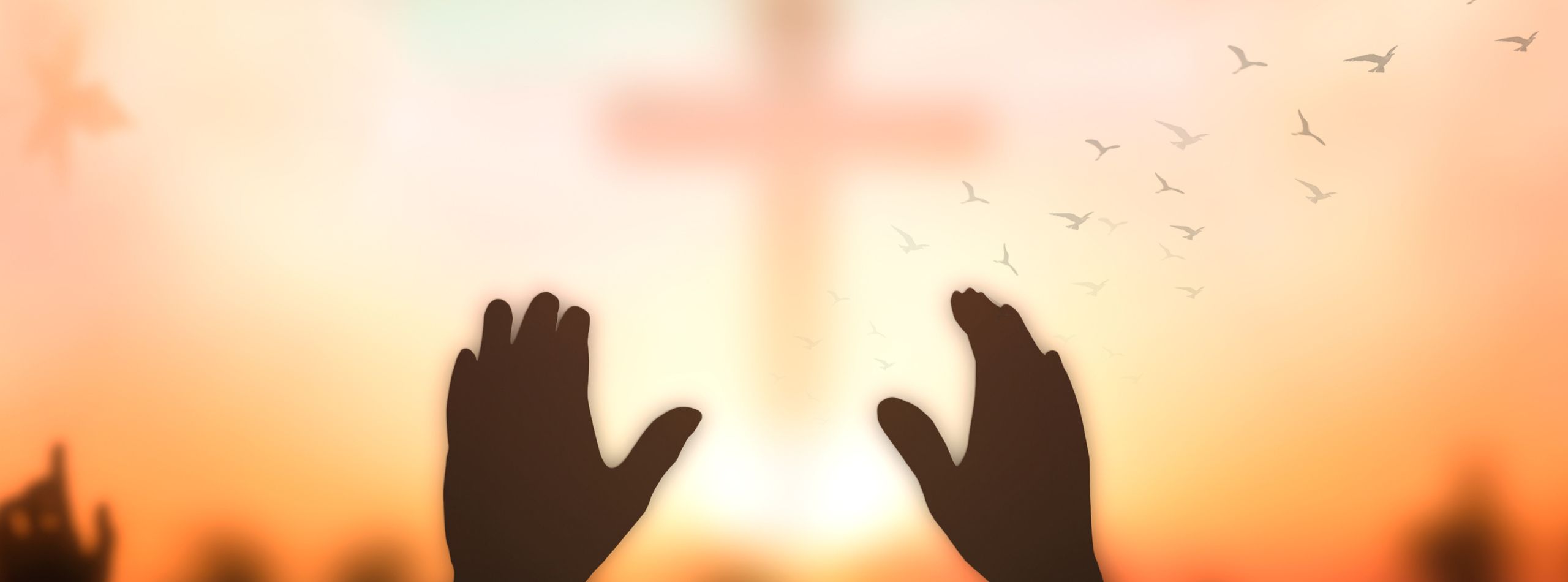 freedom through surrender to God as we trust Jesus with our whole lives