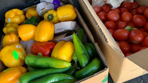 Vegetables